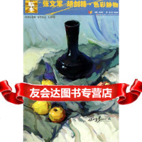 [9]临本:张文军胡剑锋色彩静物97838644128高银河,吉林美术出版社 9787538644128