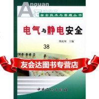 [9]电气与静电安全——石油化工安全技术与管理丛书978716420张庆河,中国石化 9787801648020