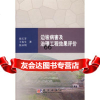 [9]边坡病害及治理工程效果评价9787030257024玉芳,春生,从明,科学出版社