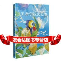 王康宁视觉艺术王康宁97814910810中国书店出版社 9787514910810