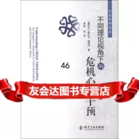 应急管理译丛:不同理论视角下的危机心理干预97813014519[爱尔兰] 9787513014519