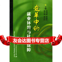 变革中的就业环境与社会保障974541031郑功成,曾湘泉,张其恒等 9787504541031