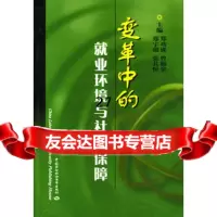 变革中的就业环境与社会保障974541031郑功成,曾湘泉,张其恒等 9787504541031