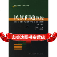 民族问题概论(第三版)吴仕民9787220073571四川人民出版社