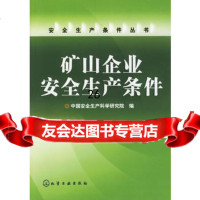 矿山企业安全生产条件中国安全生产科学研究院972594381 9787502594381