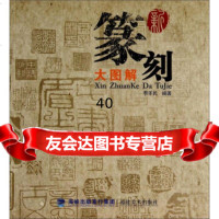 新篆刻大图解97839330969李羊民,福建美术出版社 9787539330969