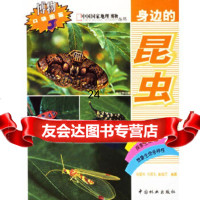 [9]身边的昆虫/中国国家地理博物丛书973836022杨星科,买国庆摄,中国 9787503836022