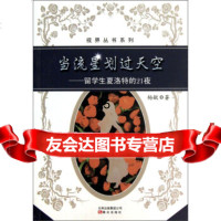 【9】视界丛书系列当流星划过天空：留学生夏洛特的21夜97841453984杨敏,晨光 9787541453984