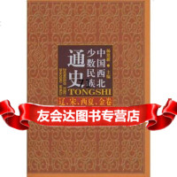 【9】中国西北少数民族通史辽、宋、西夏、金卷97871050245杨建新,刘建丽,民族 9787105099245