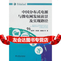 中国分布式电源与微电网发展前景及实现路径中国电力出版社97819816735 9787519816735