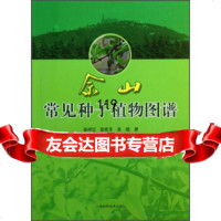 [9]佘山常见种子植物图谱97847816288秦祥堃,裴恩乐,袁晓,上海科学技术出版社 9787547816288