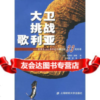 [9]大卫挑战歌利亚:欧美企业竞争中以小搏大的33则传奇978781017(德)克劳 9787810985017