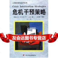 危机干预策略(上下)吉利兰等轻工业出版社971928378 9787501928378
