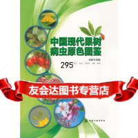 中国现代果树病虫原色图鉴(全彩大全版)吕佩珂,苏慧兰,庞震等化学工业出版社9787 9787122169167