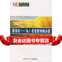 群效应——从产业集群到城市群夏维力,李博西北工业大学出版社97861221945 9787561221945