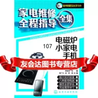 [9]家电维修全程指导全集--电磁炉、小家电、手机9787122163172韩雪涛,化学工业