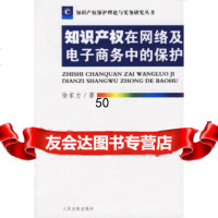 [9]知识产权在网络及电子商务中的保护/知识产权保护理论与实务研究丛书978721719 9787802171947