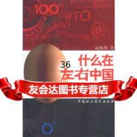 [9]什么在左右中国经济本社著中国财经出版社9705450 9787500545750