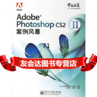 【9】AdobePhotoshopCS2案例风暴2(附)朱宝丽,冯建华电子工业出版社9 9787121036767