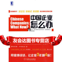 [9]中国企业怎么办目标、标杆对比和创新战略(德)孟凡辰,(中)杨玉红机械工业出版社978 978711130013