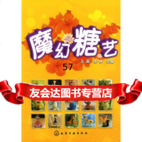 [9]魔幻糖艺王森,张婷化学工业出版社9787122064387