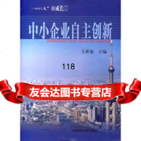 中小企业自主创新王世豪上海财经大学出版社9787810988292