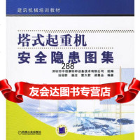 [9]塔式起重机安全隐患图集9787111197614深圳市中信康特种设备技术有限公司组