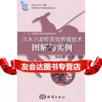 淡水小龙虾高效养殖技术图解与实例陈昌福陈萱海洋出版社972778811 9787502778811