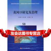 [9]黄河口研究及治理王开荣,茹玉英,王恺忱北京科文图书业信息技术有限公司9787734 9787807342656