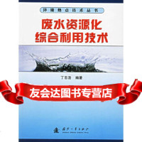 废水资源化综合利用技术丁忠浩国防工业出版社978711463 9787118048063