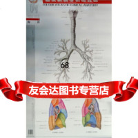 [9]临床解剖学彩色挂图:胸科(4张)978381453辽宁科学技术出版社,辽宁科 9787538145380