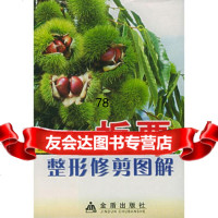 板栗整形修剪图解张铁如金盾出版社978237336 9787508237336