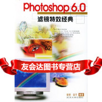 [9]Photoshop60滤镜特效经典9787307031463安然,谷平,武汉大学出版