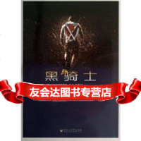 [9]黑骑士,陆源,陈英达,百花洲文艺出版社 9787550007833