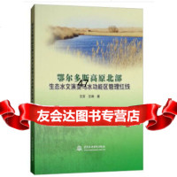 【9】鄂尔多斯高原北部生态水文演变与水功能区管理红线,王芳,王琳,水利水电出版社 9787517060932