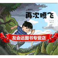 [9]再次腾飞,沈涛,云南大学出版社 9787548229452