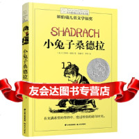 [9]长青藤国际大奖小说书系:小兔子桑德拉,得特·德琼,云南出版集团公司晨光出版社 9787541498565