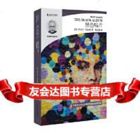 【9】黑色唱片(哈尼夫库雷西小说精品系列),[英]哈尼夫库雷西,上海文艺出版社,9 9787532166305