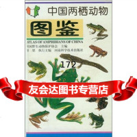 [正版9]中国两栖动物图鉴(彩图珍藏版),费梁,中国野生动物保护协会,河南科学技术出版社,9 97875349183