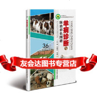 [9]羊病诊断与防治彩色图谱,刘炜,何晓中,中国农业科学技术出版社 9787511641199