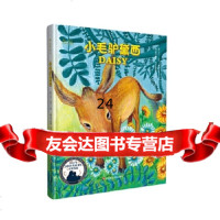 [9]小毛驴黛西,文[西]卡·吉尔,图[西]西尔维娅·阿尔,华东师范大学出版社, 9787567580657