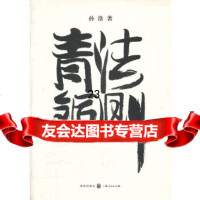 【9】青铜法则,孙涤,格致出版社,97843220676 9787543220676