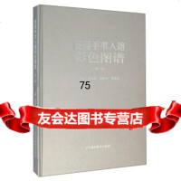 [正版9]皮瓣手术入路彩色图谱(第2版),段坤昌,柏树令,李庆生,辽宁科学技术出版社,978 97875381968