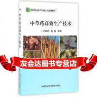 [9]中药高效生产技术,王春虎,杨靖,中国农业科学技术出版社 9787511626028