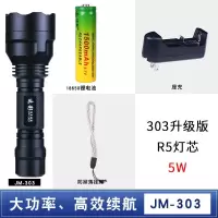 适用迭影led强光手电筒可充电远射5000家用多功能户外特种兵防水 303升级版[两电一充套装]T6灯芯10w+送车架