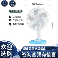 骆驼电风扇台式定时台扇节能风扇家用摇头宿舍办公室坐地小型 中号白色塑叶不定时款电源线3米
