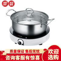 志高电磁炉家用迷你全自动断电节能正品多功能宿舍小型小锅小米粥