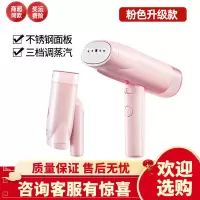 手持挂烫机家用小型便携式迷你熨斗熨烫衣服烫斗学生宿舍熨烫机 不锈钢款 三挡