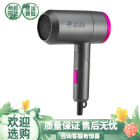 志高吹风机负离子理发店发型师专用护发网红恒温家用电吹风大功率