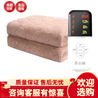 志高电热毯双人双控安全调温家用水暖毯单人学生宿舍电褥子